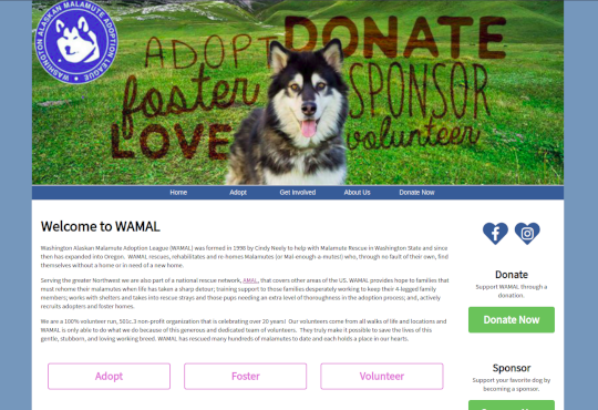 Washington Alaskan Malamute Adoption League (WAMAL)